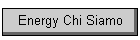 Energy Chi Siamo