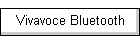 Vivavoce Bluetooth